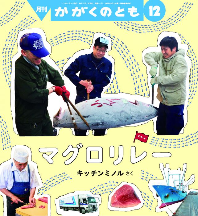 かがくのとも『マグロリレー』刊行記念展　キッチンミノル写真展