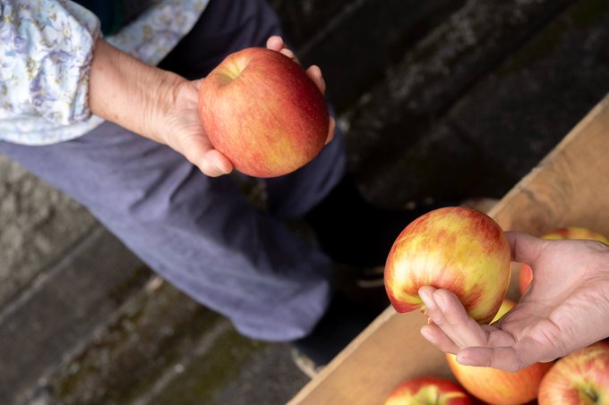 2026年は「いちりんご」から！
